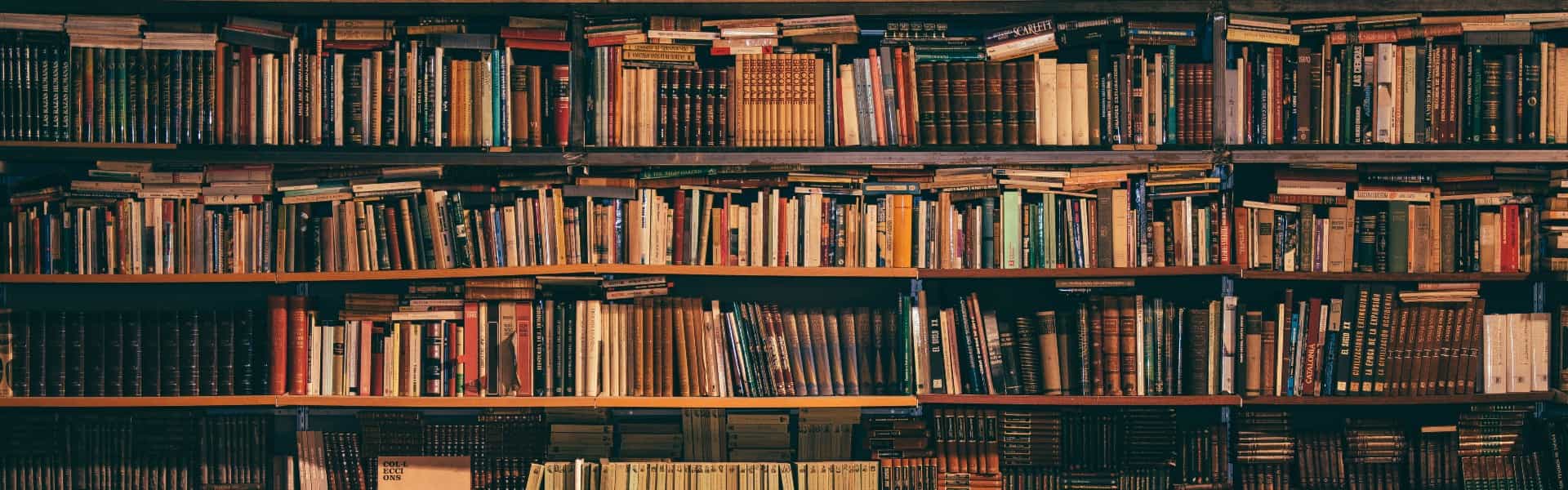 https://res.cloudinary.com/di7ejl8jx/image/upload/v1688441391/backgrounds/education_fbvmrv.jpg